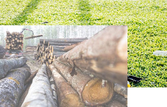 /index.php/guanyuwomen.html